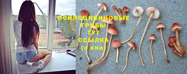винт Бугульма