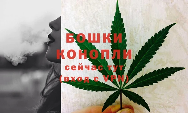 соль ск Бородино